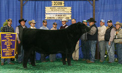2009 NAILE in Louisville